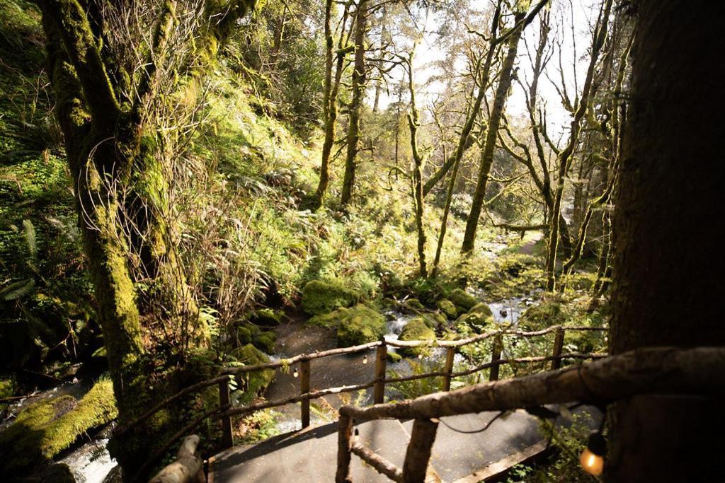 Taylor Creek Lodge Gold Beach Exterior photo